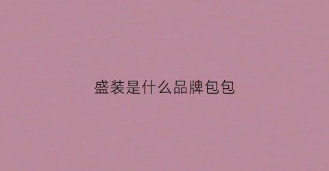 盛装是什么品牌包包(盛装生活女装有这个牌子吗)