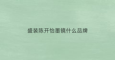 盛装陈开怡墨镜什么品牌(盛装陈开怡墨镜什么品牌最好)