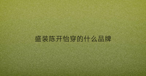 盛装陈开怡穿的什么品牌