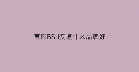 盲区BSd变道什么品牌好(什么叫盲区变道)