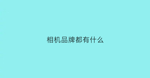 相机品牌都有什么(相机出名品牌)