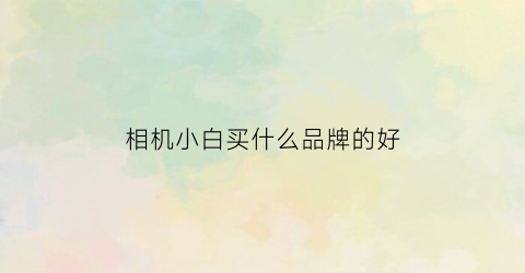 相机小白买什么品牌的好(相机小白买什么品牌的好用)