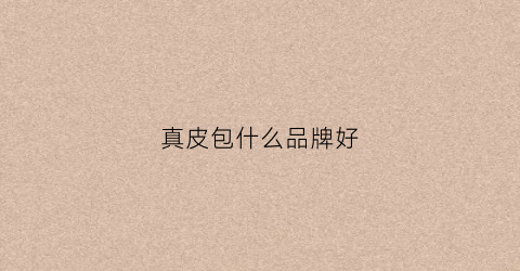 真皮包什么品牌好(真皮包推荐)