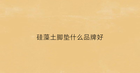 硅藻土脚垫什么品牌好(硅藻土脚垫什么品牌好一点)