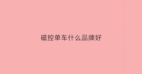 磁控单车什么品牌好