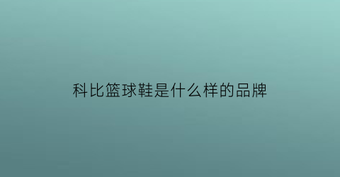 科比篮球鞋是什么样的品牌(科比篮球鞋全系列介绍)