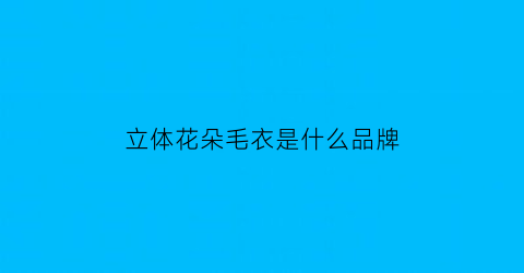 立体花朵毛衣是什么品牌