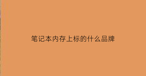 笔记本内存上标的什么品牌(笔记本内存上标的什么品牌的好)