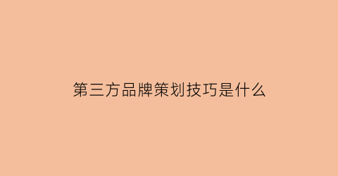 第三方品牌策划技巧是什么(hondaconnect有几项功能)