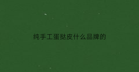 纯手工蛋挞皮什么品牌的(成品蛋挞皮哪个牌子好)