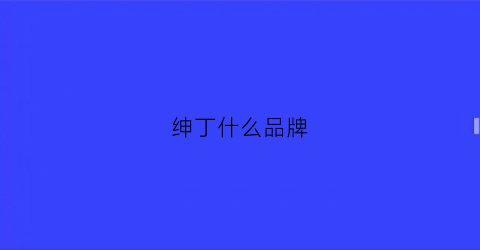 绅丁什么品牌(绅典女鞋质量怎么样)