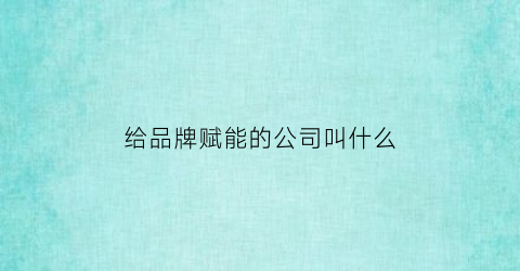 给品牌赋能的公司叫什么(给品牌赋能的公司叫什么名称)