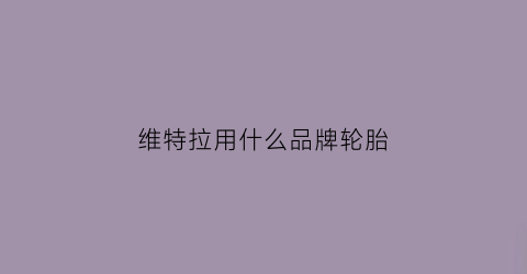 维特拉用什么品牌轮胎(维特拉原厂胎)