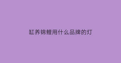 缸养锦鲤用什么品牌的灯(缸养锦鲤用什么品牌的灯好)