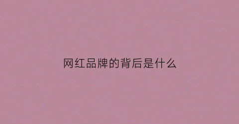 网红品牌的背后是什么(网红品牌有哪些名字)