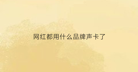 网红都用什么品牌声卡了(网红声卡是什么东西)