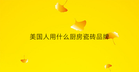 美国人用什么厨房瓷砖品牌(美国用瓷砖吗)