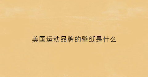 美国运动品牌的壁纸是什么(美国运动牌子)