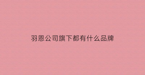 羽恩公司旗下都有什么品牌(上海羽恩实业有限公司怎么样)