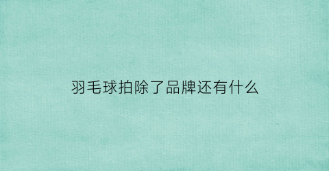 羽毛球拍除了品牌还有什么(羽毛球拍都有什么牌子)