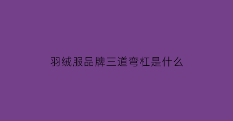 羽绒服品牌三道弯杠是什么(三道弯的羽绒服)