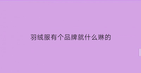 羽绒服有个品牌就什么琳的(lincs牌子的羽绒服)