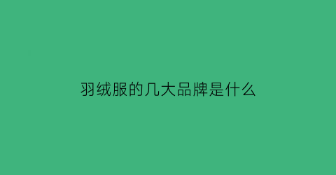 羽绒服的几大品牌是什么(羽绒服五大品牌)