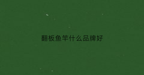 翻板鱼竿什么品牌好(翻板鱼竿什么品牌好用)
