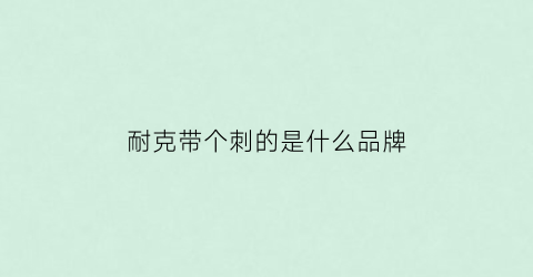 耐克带个刺的是什么品牌(带刺耐克标志)