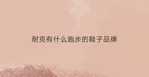 耐克有什么跑步的鞋子品牌(耐克有什么好的跑步鞋)