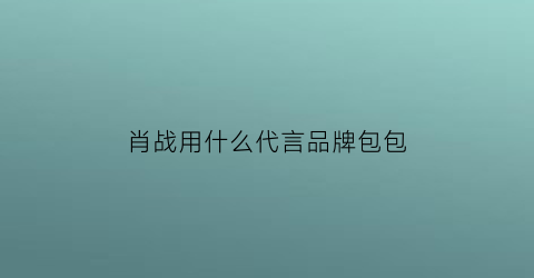 肖战用什么代言品牌包包(肖战代言女包)