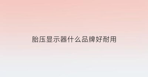 胎压显示器什么品牌好耐用(汽车胎压显示器多少钱)