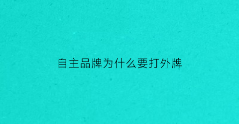 自主品牌为什么要打外牌(自主品牌为什么要打外牌呢)