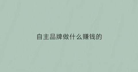自主品牌做什么赚钱的(自主品牌做什么赚钱的多)