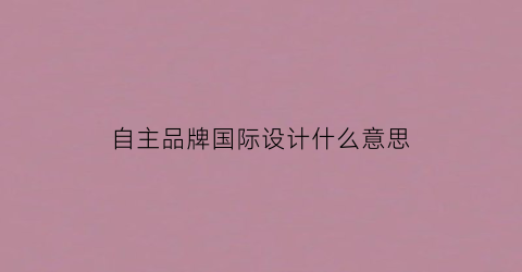 自主品牌国际设计什么意思(自主品牌国际设计什么意思啊)
