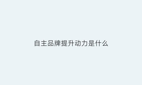 自主品牌提升动力是什么