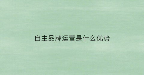 自主品牌运营是什么优势(自主品牌的内涵)