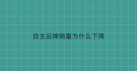 自主品牌销量为什么下降(中国自主品牌销量)