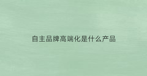 自主品牌高端化是什么产品