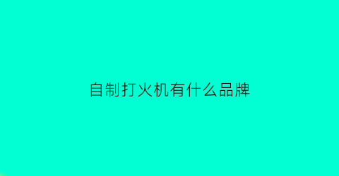 自制打火机有什么品牌(自制打火机点火器)