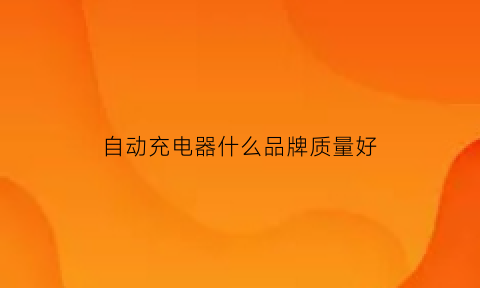 自动充电器什么品牌质量好