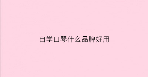自学口琴什么品牌好用(初学者自学口琴用什么牌子好)