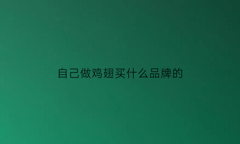 自己做鸡翅买什么品牌的