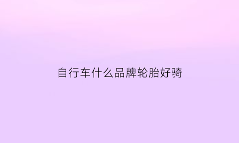 自行车什么品牌轮胎好骑