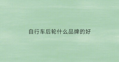 自行车后轮什么品牌的好(自行车后轮是什么轮轴)