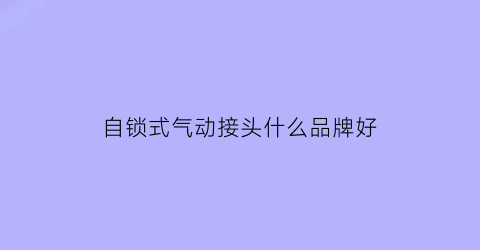 自锁式气动接头什么品牌好