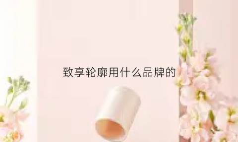 致享轮廓用什么品牌的(致享轮毂是铝合金的吗)