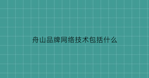 舟山品牌网络技术包括什么(舟山网络科技)