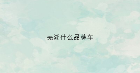 芜湖什么品牌车(芜湖的汽车品牌)