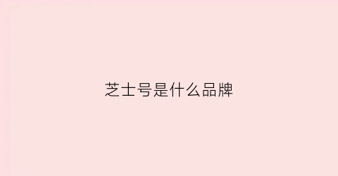 芝士号是什么品牌(芝士是什么品牌好)